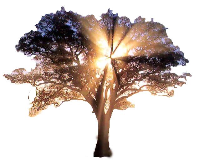 The Oaks House Sober Living sober living home