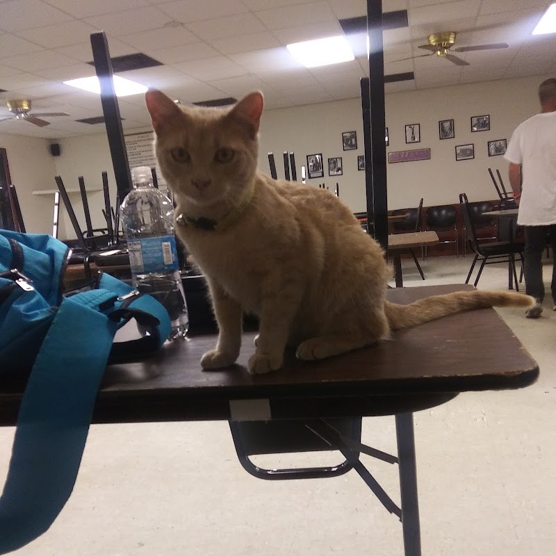 Westside Club Inc sober living home