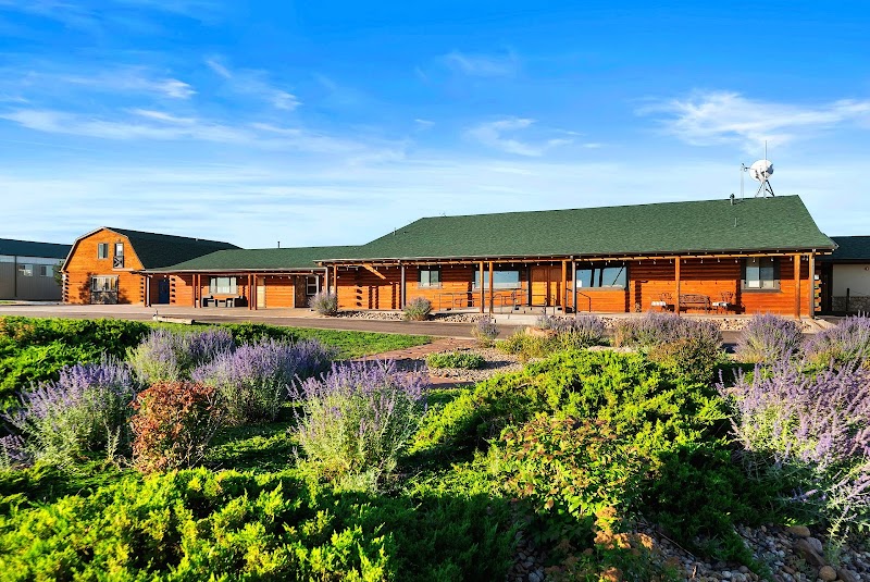 The Raleigh House - Watkins sober living home