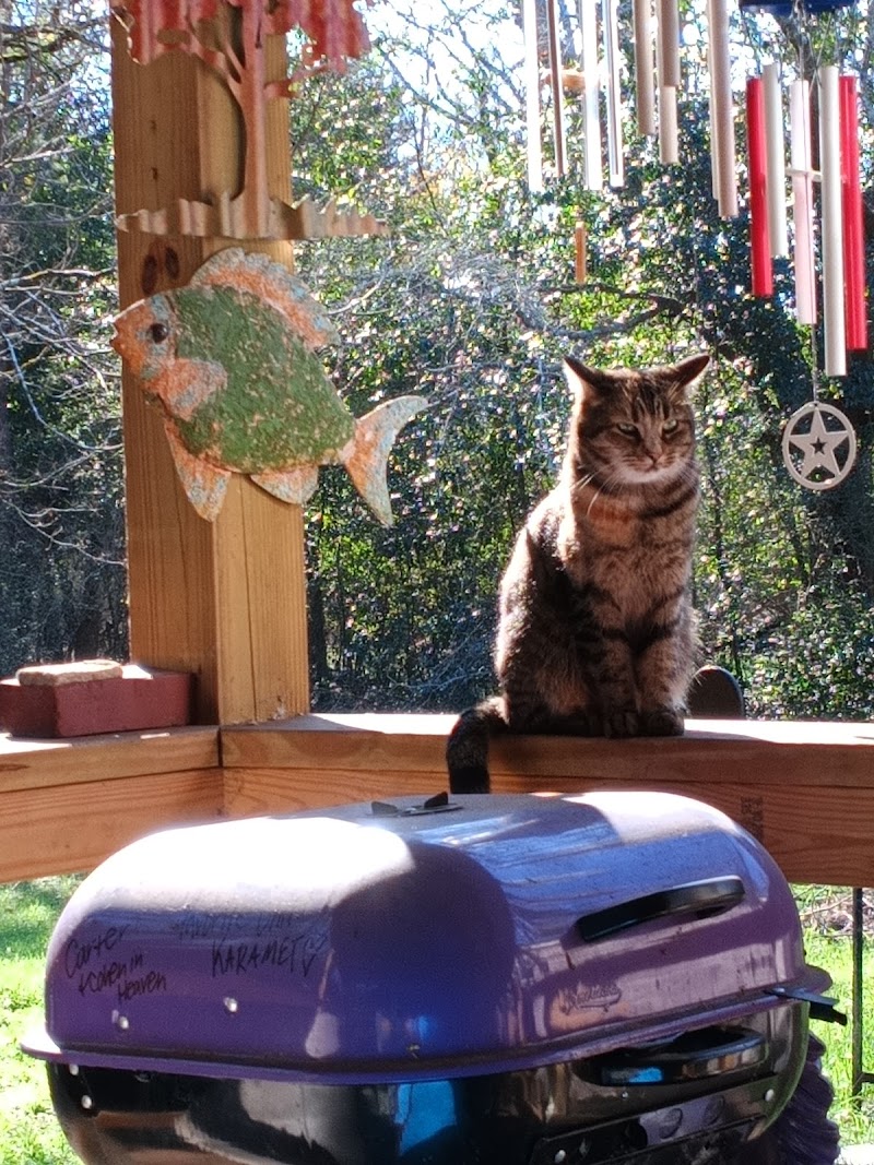 Sober Living Programs in Atlanta sober living home