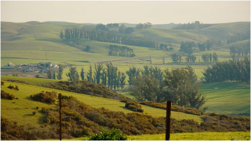 Olympia House Rehab sober living home