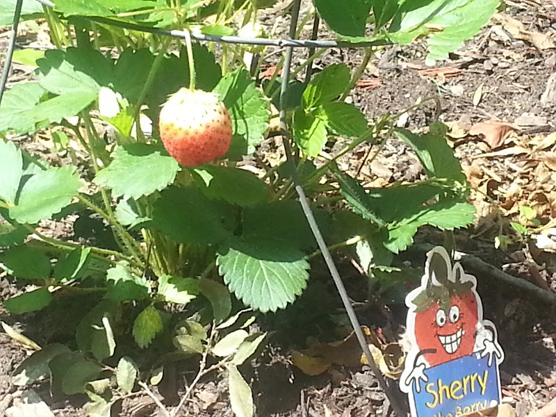 Oxford House North Park sober living home