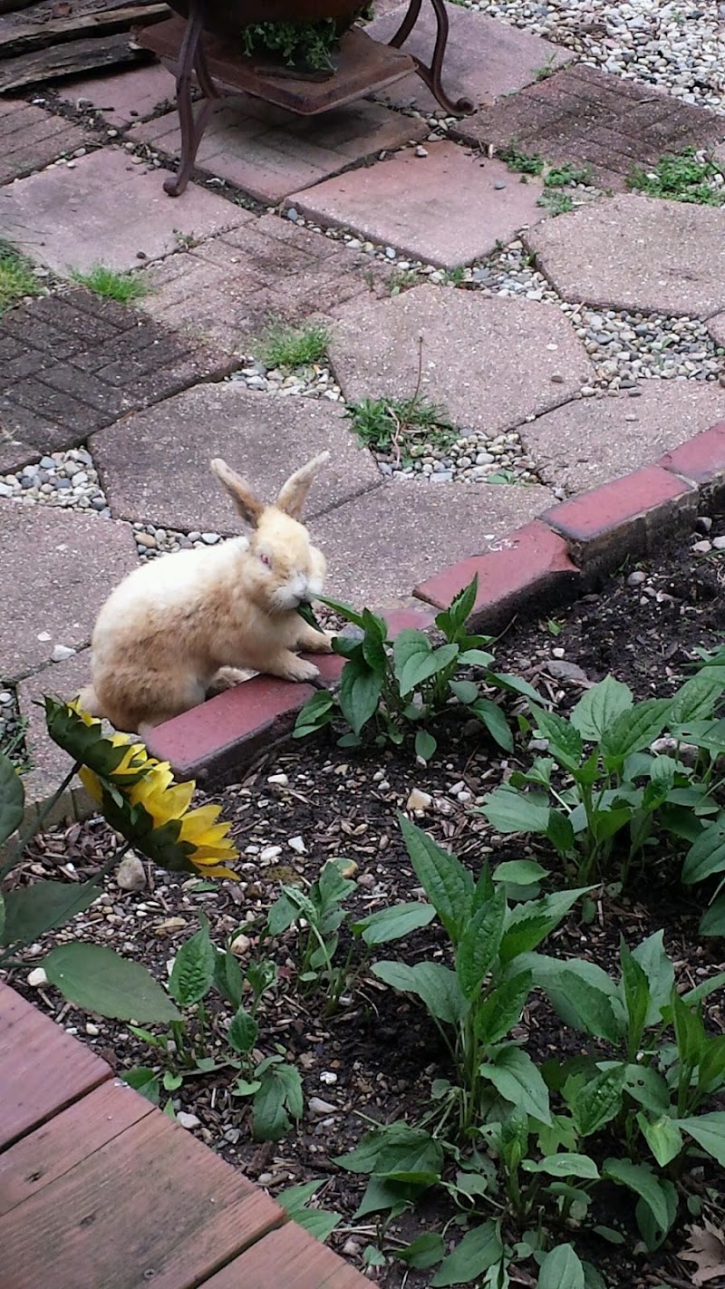 House of Hope-Madison County sober living home