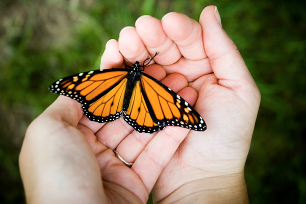 Hope Homes, Inc sober living home