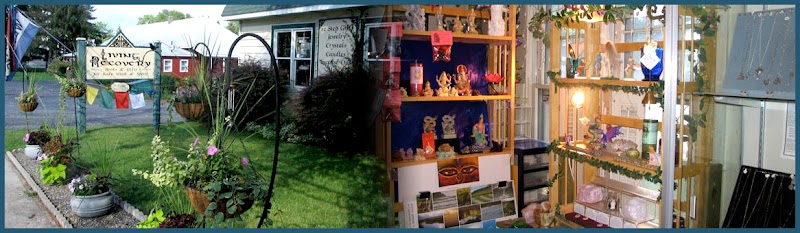 Living Recovery, Inc. sober living home