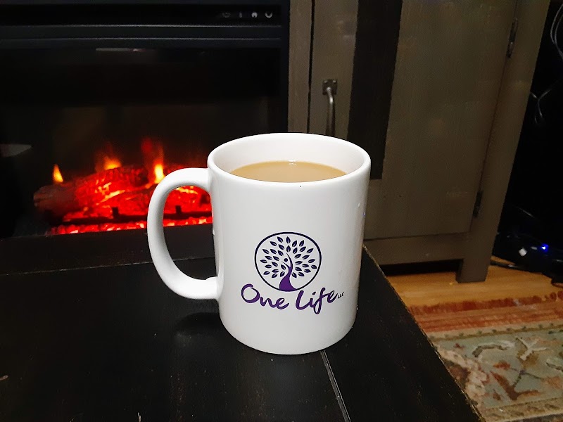 One Life LLC sober living home