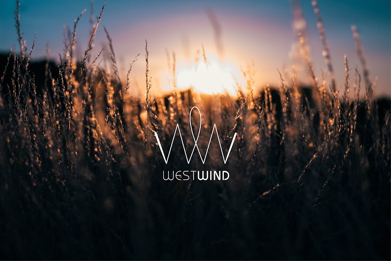 Westwind Recovery Sober Living sober living home