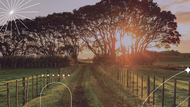 Country Road Recovery Center sober living home