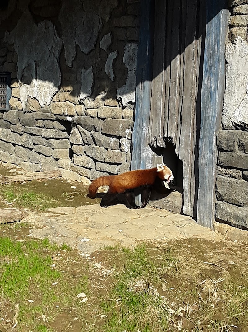 Toni's House sober living home