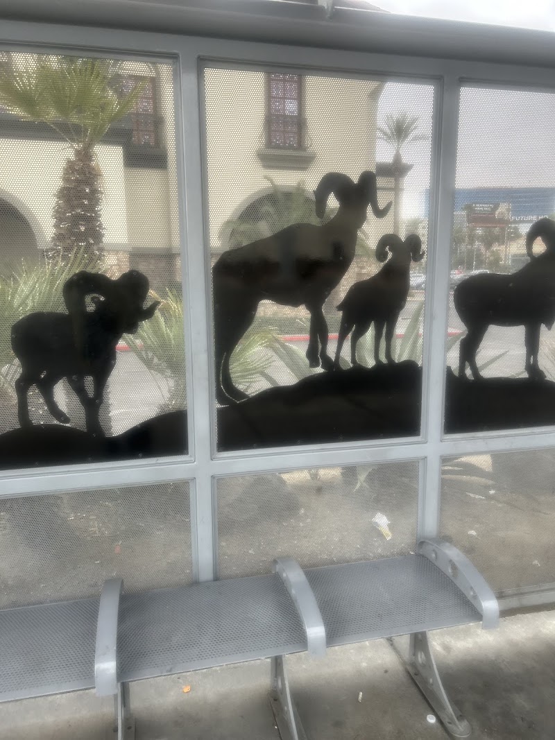 Freedom House Sober Living Las Vegas sober living home